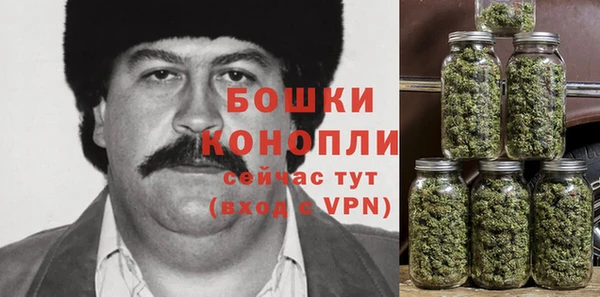 шишки Богородск